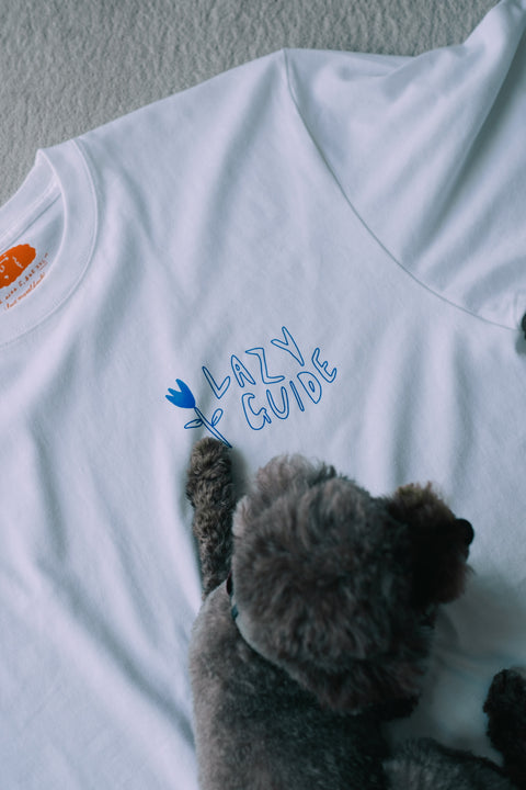 Lazy Guide / Achieve Nothing Today Tee