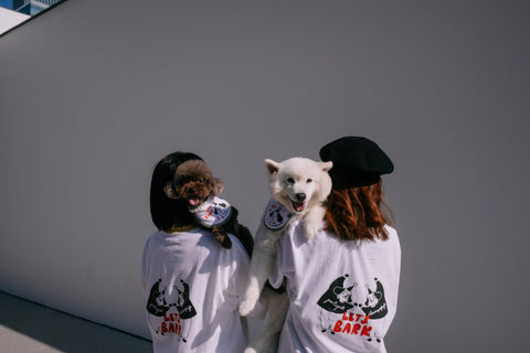 Let's Bark Tee & Bib Set / pat-a-pet x ilovemyselfself